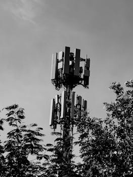 Close-up of a telecommunication tower amidst trees in grayscale.